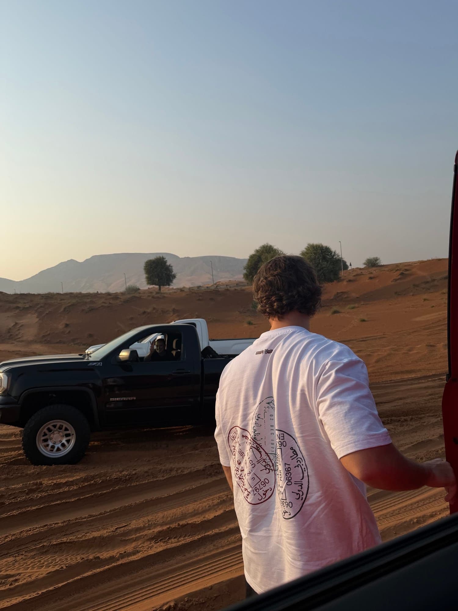 Back of the white Entry Tee with passport entry stamp print, worn in the desert
